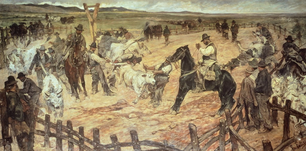 Marcatura di torelli in Maremma - Istituto Matteucci, Viareggio (Lucca)